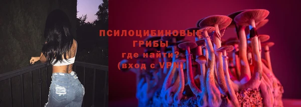 герыч Алексин
